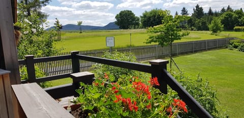 Natural landscape, Garden view, Mountain view