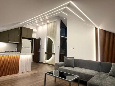 TV and multimedia, Kitchen or kitchenette, Living room, Seating area