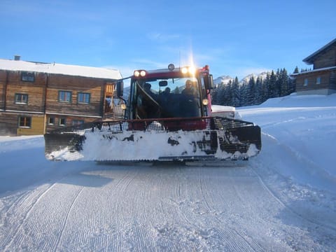 Apartment Hölzlbauer Apartment in Salzburgerland