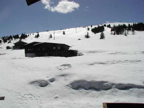 Skiing, Area and facilities
