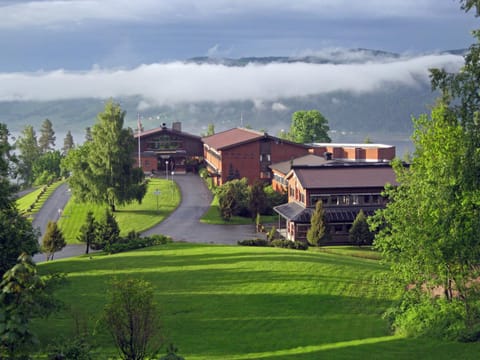 Property building, Natural landscape, Garden