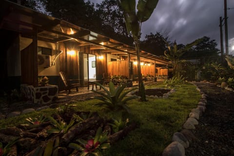 Patio, Garden
