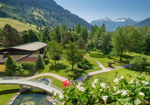 Garden, View (from property/room), Garden view