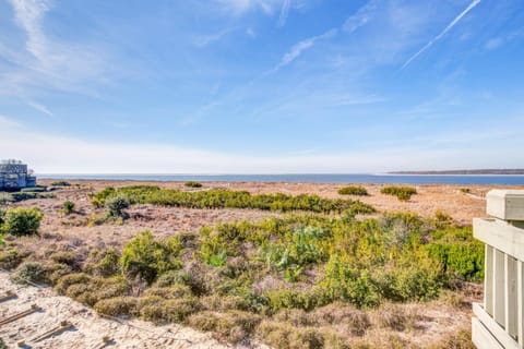 Pelican Watch 1380 House in Seabrook Island