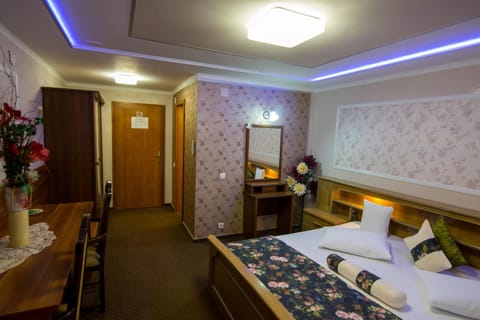Pensiunea Sofia Bed and Breakfast in Timisoara