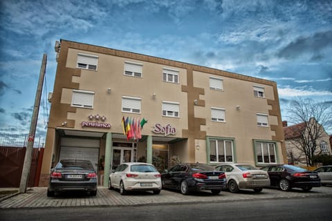 Pensiunea Sofia Bed and Breakfast in Timisoara