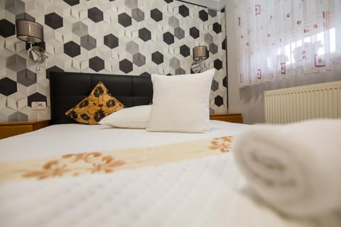 Pensiunea Sofia Bed and Breakfast in Timisoara
