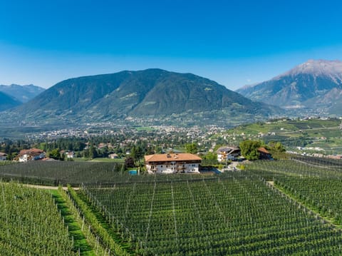 Property building, Facade/entrance, Bird's eye view, Garden, View (from property/room), City view, Garden view, Mountain view, Pool view, Area and facilities, Swimming pool, Facility for disabled guests