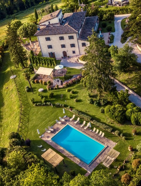 Bird's eye view, Garden view