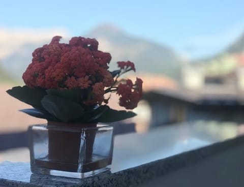 Albergo Centrale Hotel in Canazei