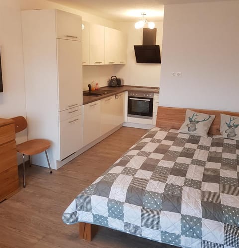 Bed, Kitchen or kitchenette, Photo of the whole room, Bedroom, oven, stove