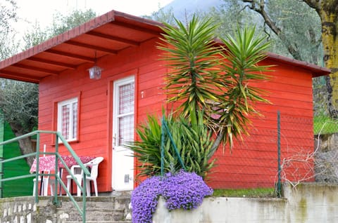 Photo of the whole room, Decorative detail