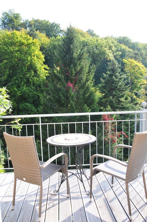 Stadt- Naturnah, Traumblick und Balkon Apartment in Baden-Baden