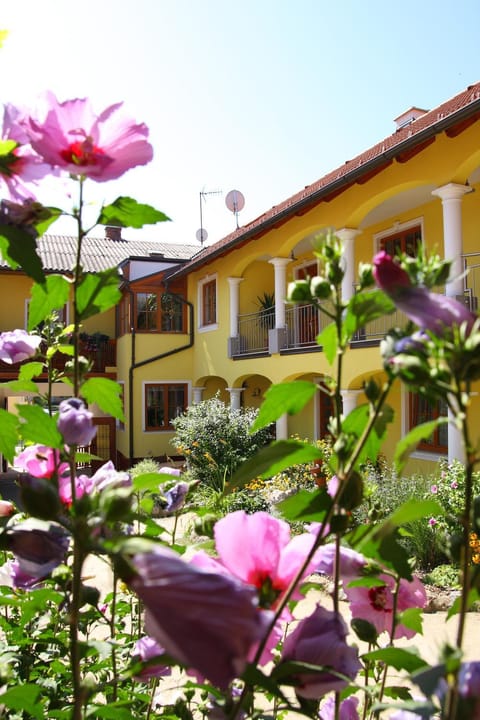 Property building, Garden, Garden view