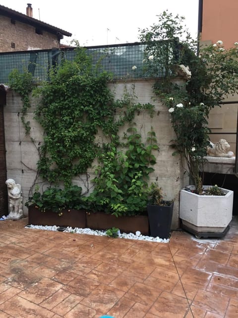 Balcony/Terrace, Other