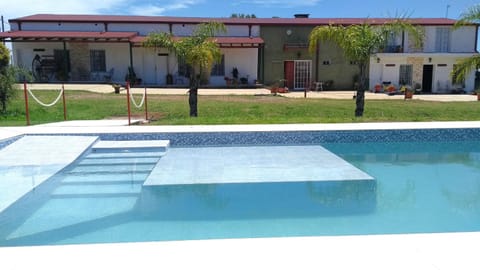 Pets, Swimming pool