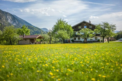 Spring, Children play ground, On site