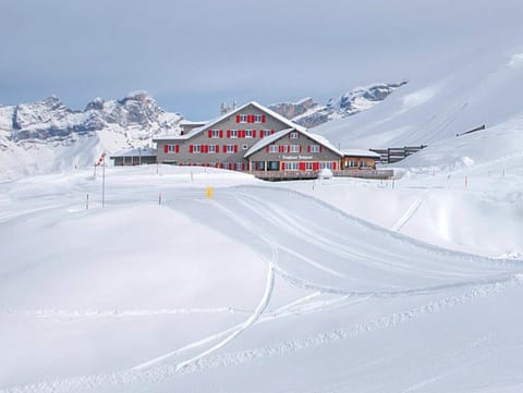 Day, Natural landscape, Winter, Skiing, Mountain view