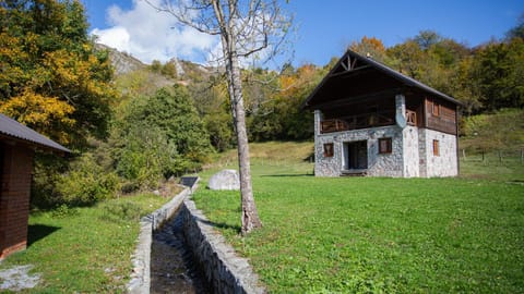 Day, Natural landscape, Garden view
