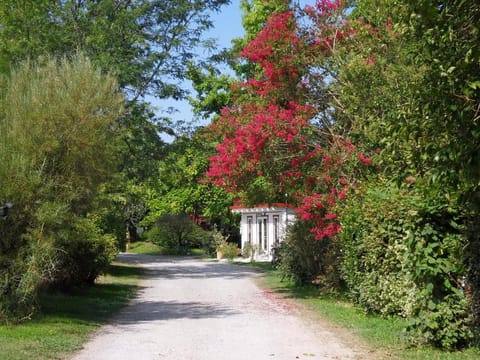 Natural landscape