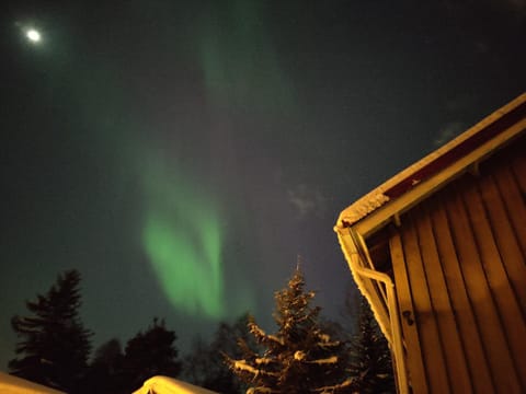 Villa Seven House in Rovaniemi