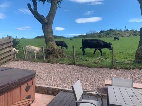 Woodburn Lodges Nature lodge in England