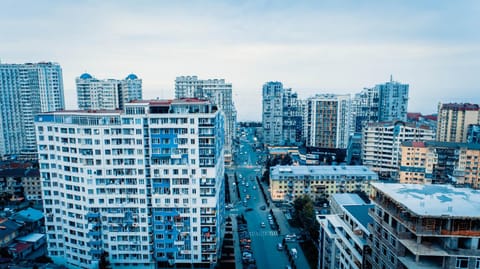 Bird's eye view, City view, Street view