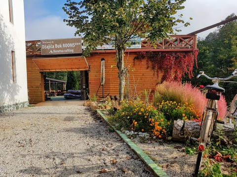 Property building, Patio, Facade/entrance, Garden