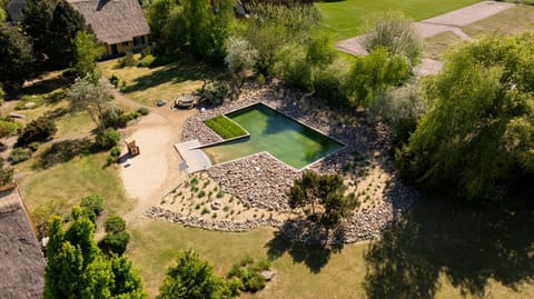 Garden, Garden view, Swimming pool