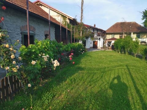 Property building, Spring, Day, Natural landscape, Garden, Garden view