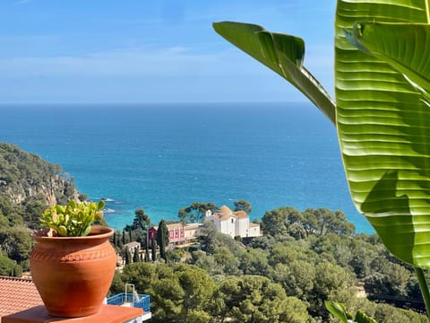 Sea view