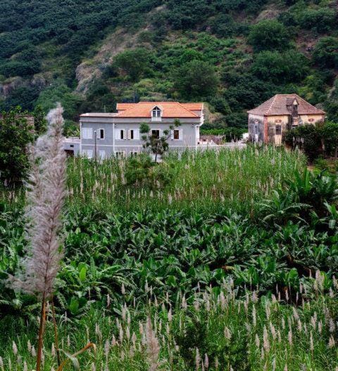 Property building, Natural landscape
