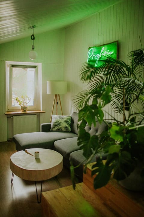 Living room, air conditioner