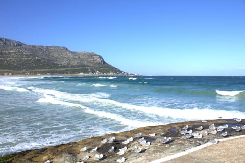 Natural landscape, Beach, Mountain view