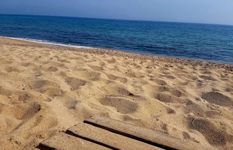 Neighbourhood, Beach