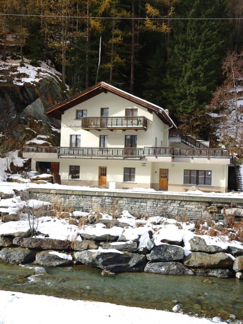 Haus Pickelschmiede Apartment in Saas-Fee