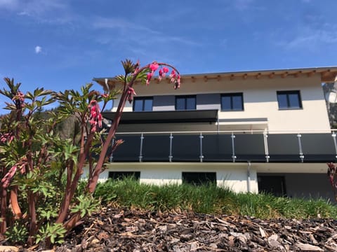 Property building, Garden view