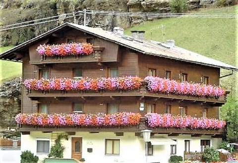 Facade/entrance, Day, Summer