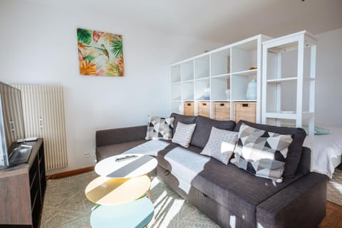 Terrace with Lake & Mountain View Apartment in Montreux