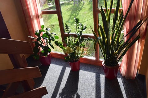 Pension Appartement Ambrosi Bed and Breakfast in Carinthia, Austria