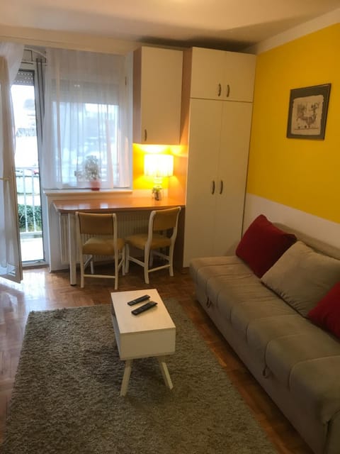 Studio Tina sajam FREE parking Apartment in Novi Sad