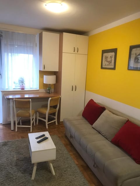 Studio Tina sajam FREE parking Apartment in Novi Sad