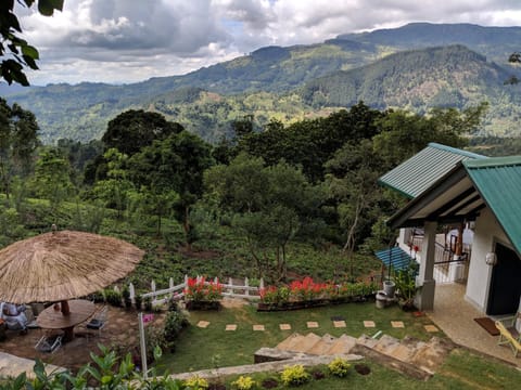 Garden, Garden view, Mountain view
