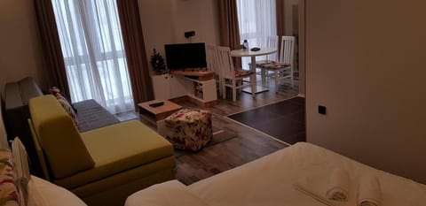 A1 Premier Milmari resort Apartment in Serbia