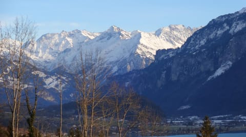 Natural landscape