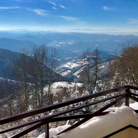 Apartman D52 Dvori Apartment in Serbia