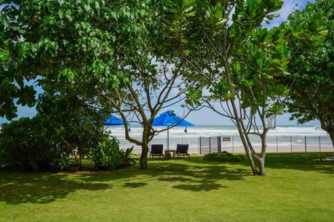 Garden, Beach