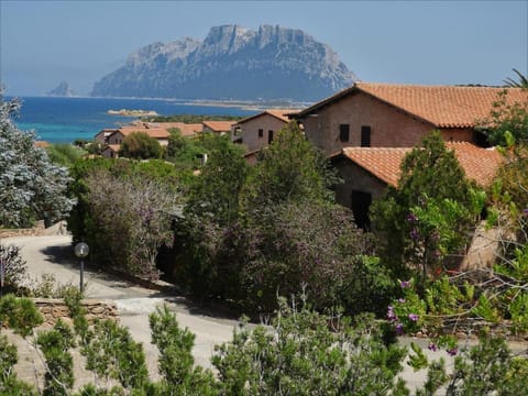 On site, Garden view