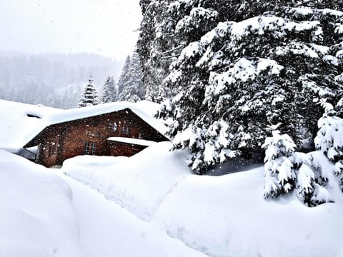 Property building, Facade/entrance, Other, Decorative detail