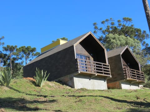 Property building, Garden, Garden view